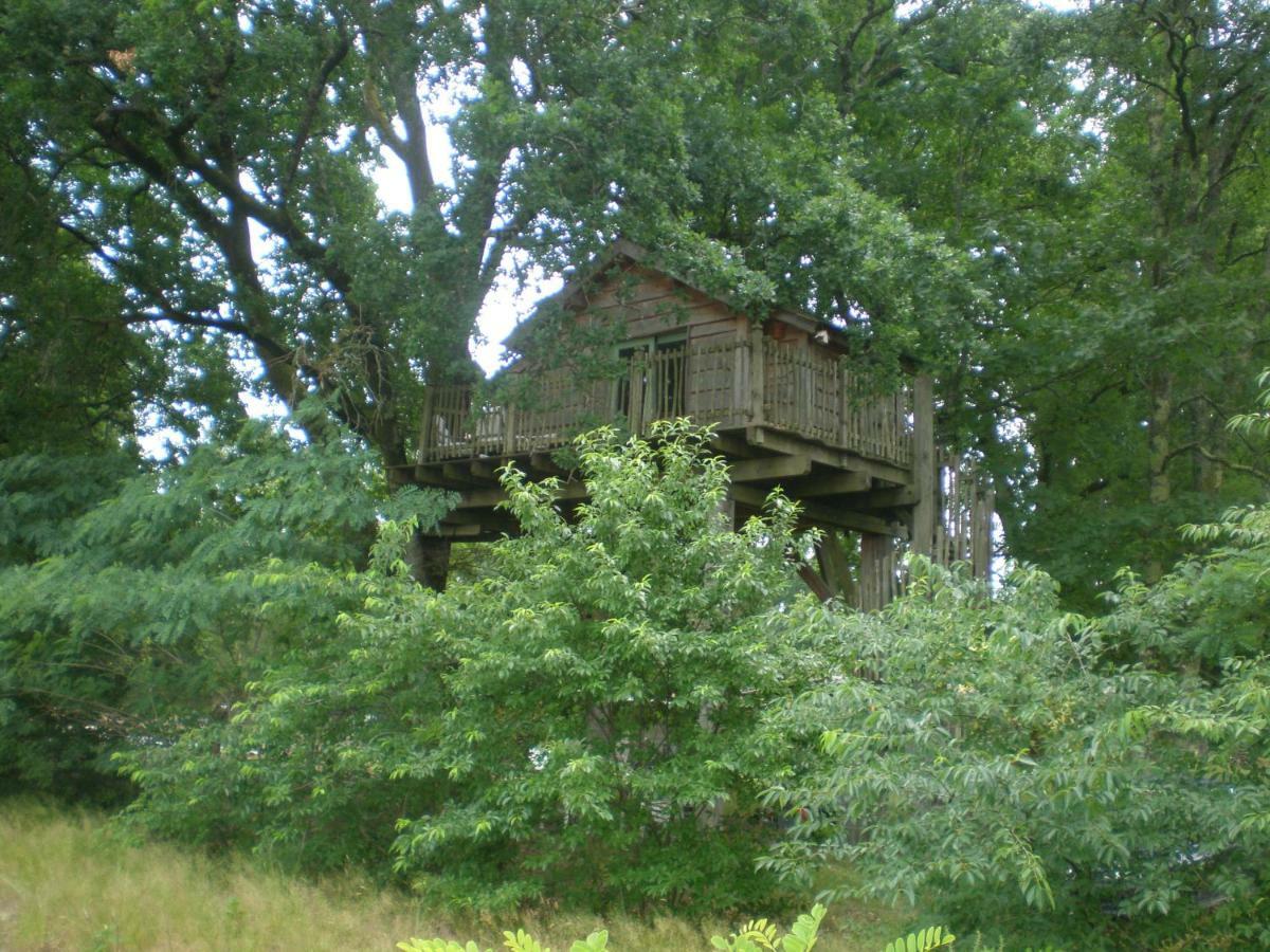 Cabane Perchee Solférino Екстериор снимка