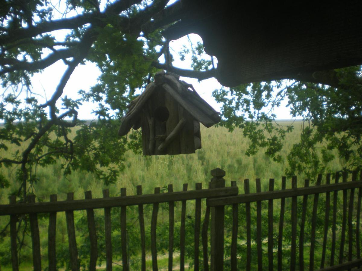 Cabane Perchee Solférino Екстериор снимка